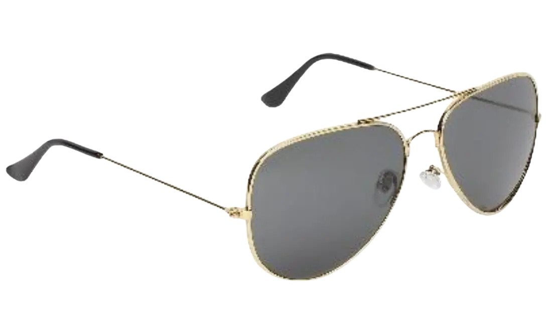 ClassiCove™ Polarised Aviator Sunglasses Desi Hands